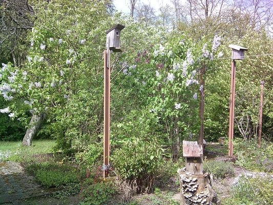 Gartenimpression