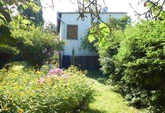 Garten und Blick auf das Haus