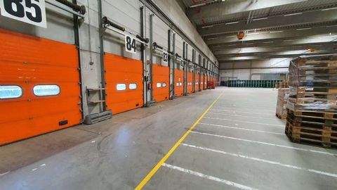 Saulheim Halle, Saulheim Hallenfläche