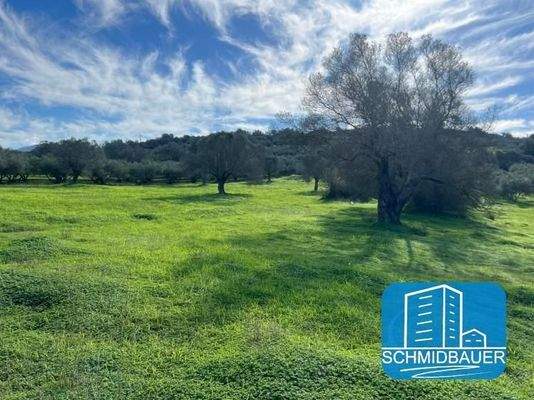 Kreta, Pitsidia: Grundstück zwischen zwei schönen Dörfern zu verkaufen