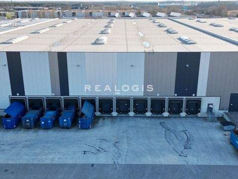 Ludwigsfelde Halle, Ludwigsfelde Hallenfläche