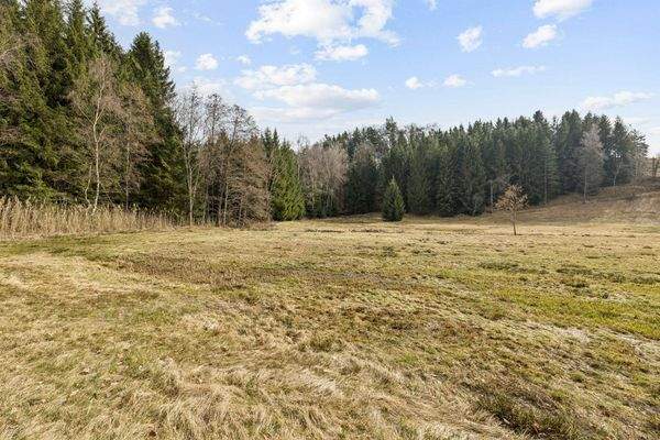 Wiese- und Waldgrund