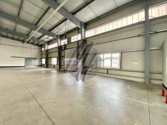 INFOS UNTER: 06171-586000