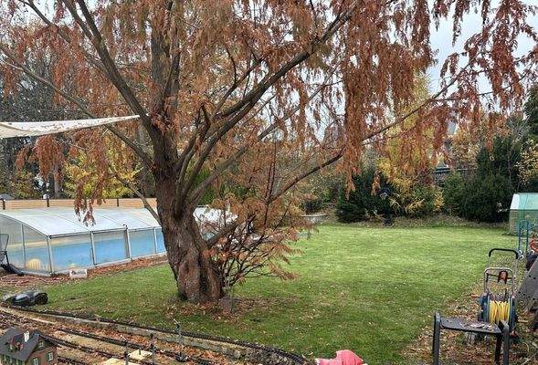 Blick in das Grundstück