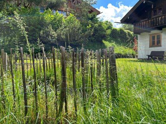 Garten - Impressionen