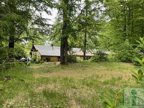 Neukirch/Lausitz Häuser, Neukirch/Lausitz Haus kaufen