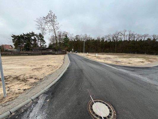 Baugebiet Hauptweg Richtung Wald.jpg