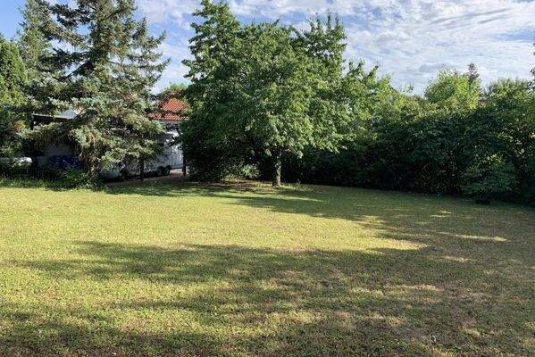 Traumgarten oder Bauplatz?