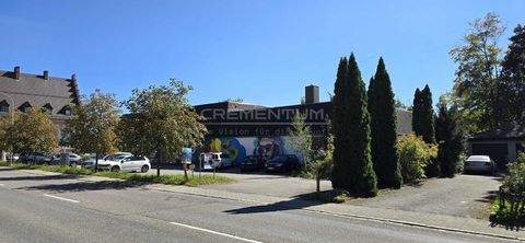 Immendingen Büros, Büroräume, Büroflächen 