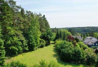 Wald und Wiesenteil mit Ausblick auf Baumberg