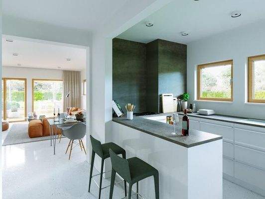 Bsp.Küche u Wohnzimmer