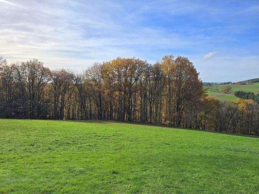 Blick auf das Grundstück 1