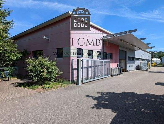 PXL_20240708_081608919