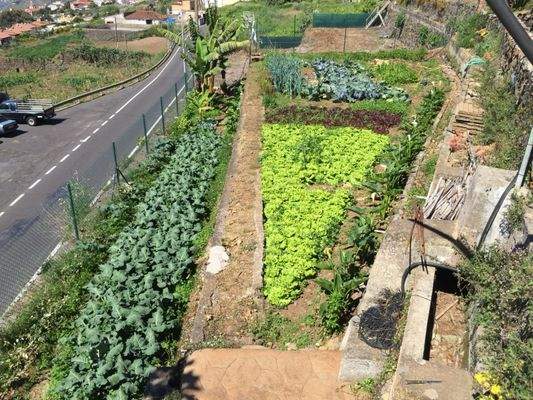 WhatsApp Image 2025-05-01 at 12.49.09 (1).jpeg