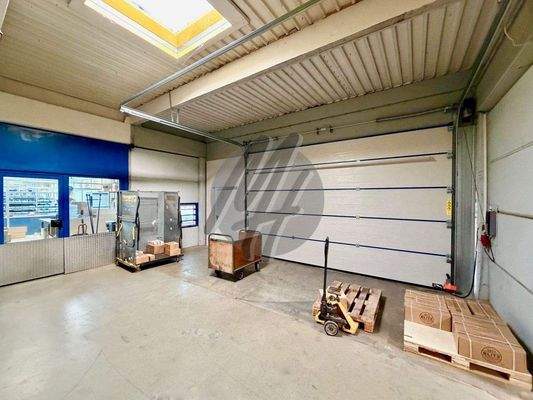 INFOS UNTER: 06171-586000