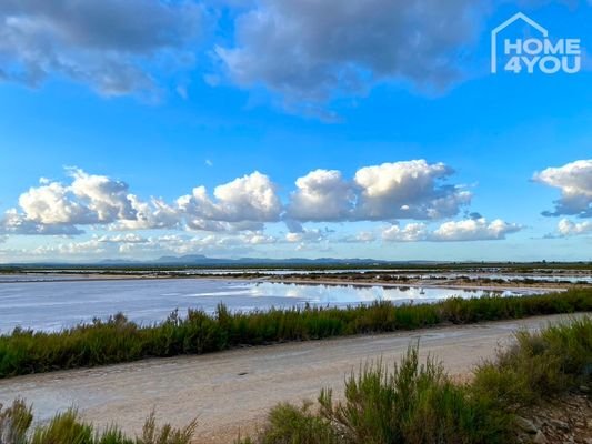 Salines