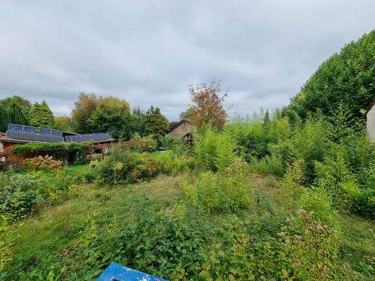 Blick vom Haus in den Garten des Grundstücks.jpg