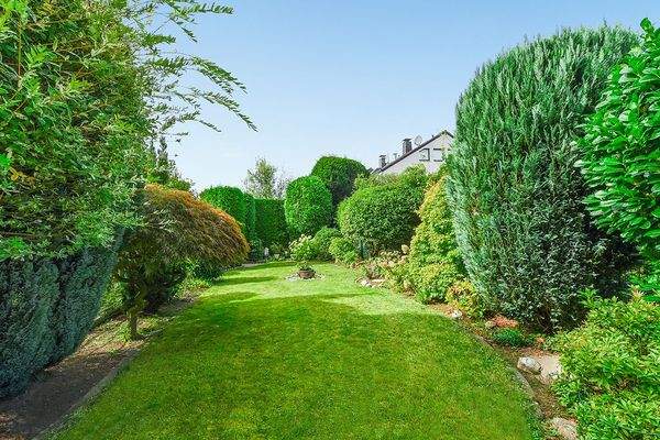 Der schön eingewachsene Garten