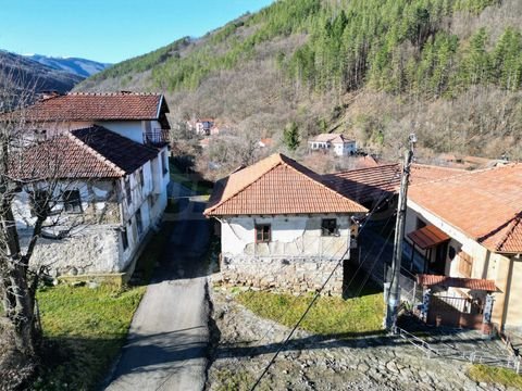 Chiflik Häuser, Chiflik Haus kaufen