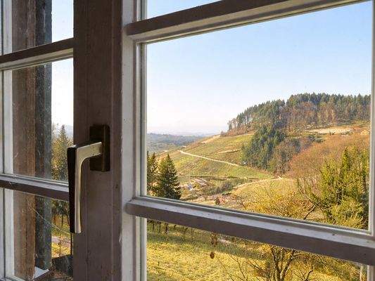 Nächste Aussicht aus den Fenstern