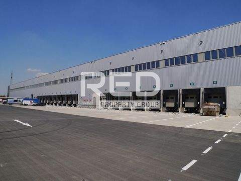 Dortmund Halle, Dortmund Hallenfläche