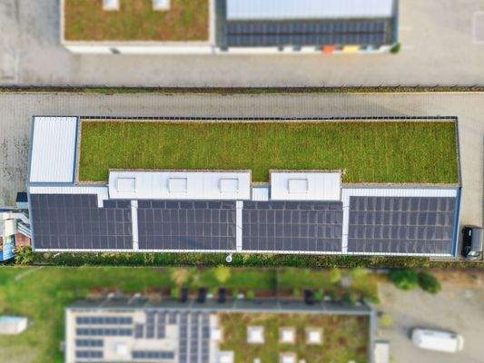 Alexander Immobilien