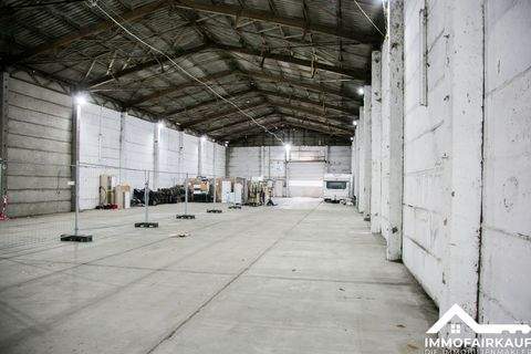 Magdeburg / Ottersleben Halle, Magdeburg / Ottersleben Hallenfläche