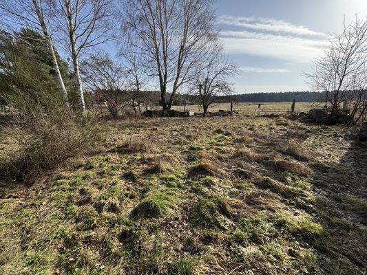 Grundstücksansicht Richtung Bauerwartungsland