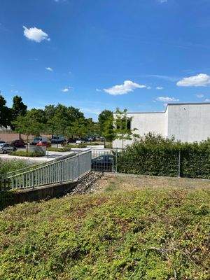 Groß (Groß (IMG_0340)).jpeg