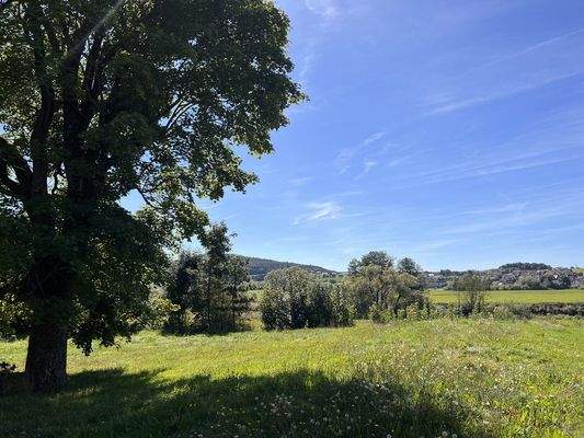 Ausblick aufs Regental 2