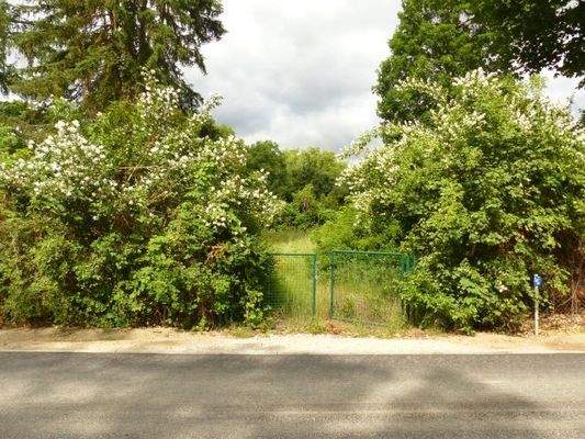 Zufahrt Am Wolziger See