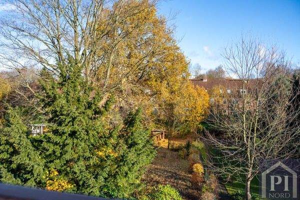 Ausblick vom Balkon in den Garten