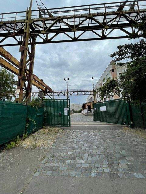 Leipzig Halle, Leipzig Hallenfläche