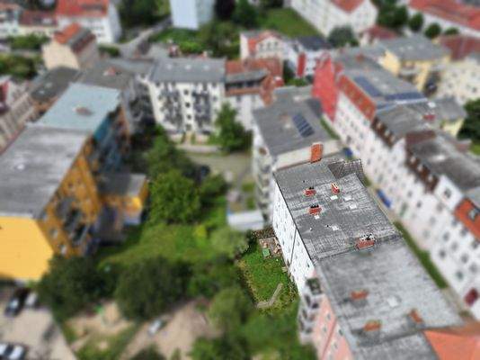 Blick auf den Garten