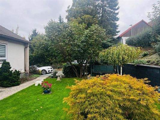 Garten hinter dem Haus 