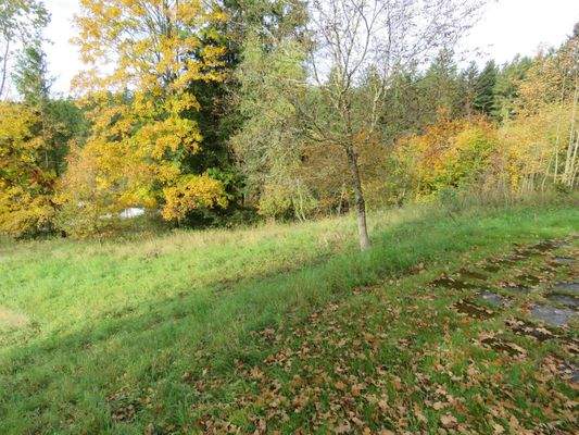 Grundstück am Waldrand 