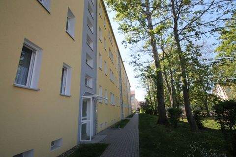 Weißenfels Wohnungen, Weißenfels Wohnung mieten