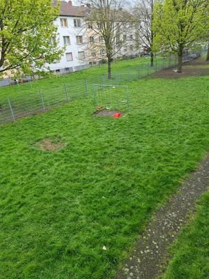 Gemeinschaftsgarten