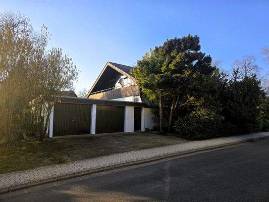 Seitenansicht_von links