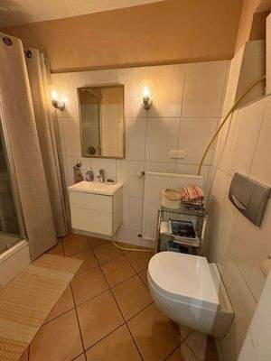 Gäste WC mit Dusche