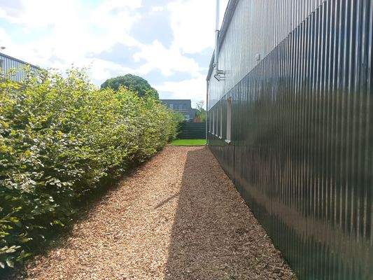 Außenansicht Fassade und Weg