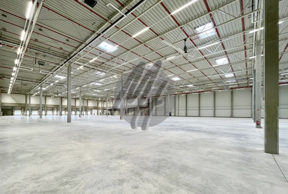 INFOS UNTER: 06171-586000