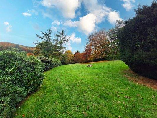 Oberer Gartenbereich