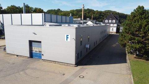 Dohna Halle, Dohna Hallenfläche