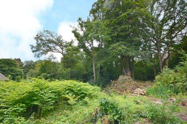 Das Ausnahme-Grundstück geht rückwärtig ins Landschaftsschutzgebiet über