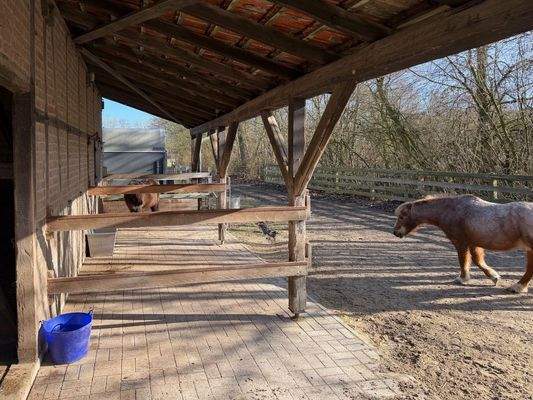 Stall unter Dach 2.jpg