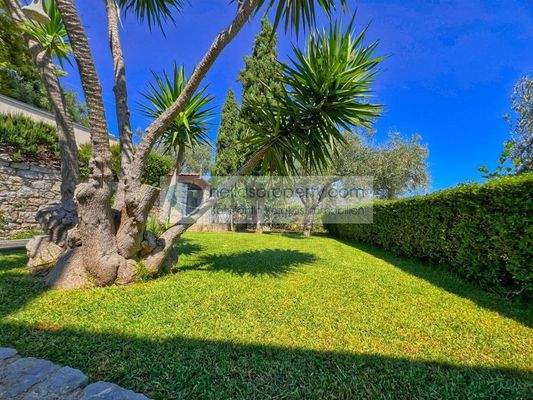 763681d5d9864911b1c67180d2060c0a-original