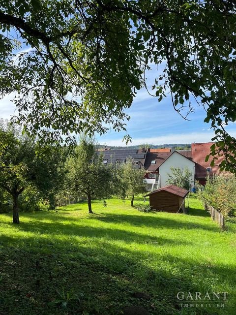 Klettgau Häuser, Klettgau Haus kaufen