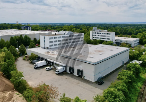 Langen Halle, Langen Hallenfläche