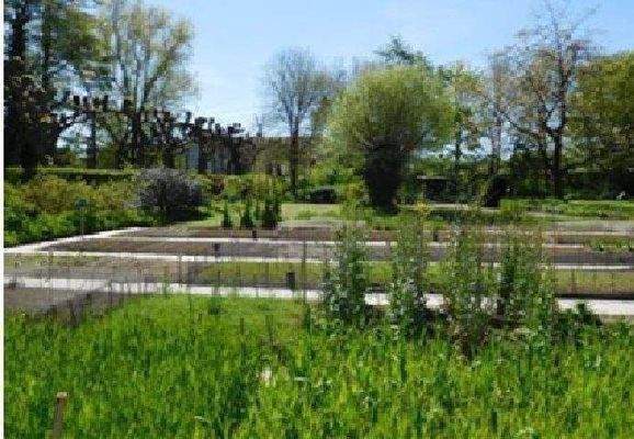 Köpenick, beste ruhige Grünlage